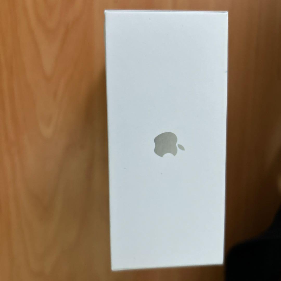 AirPods Pro 第2世代本体 + MagSafe充電ケース未使用。