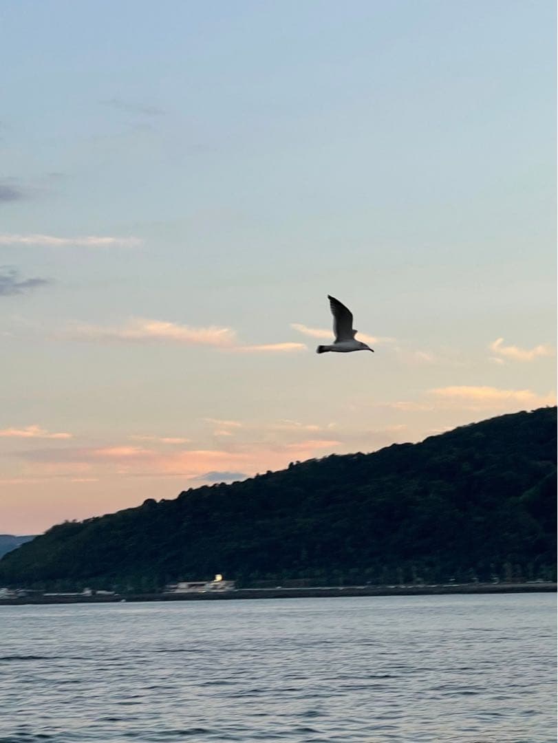 blue＊bird様 orderページ☽⋰