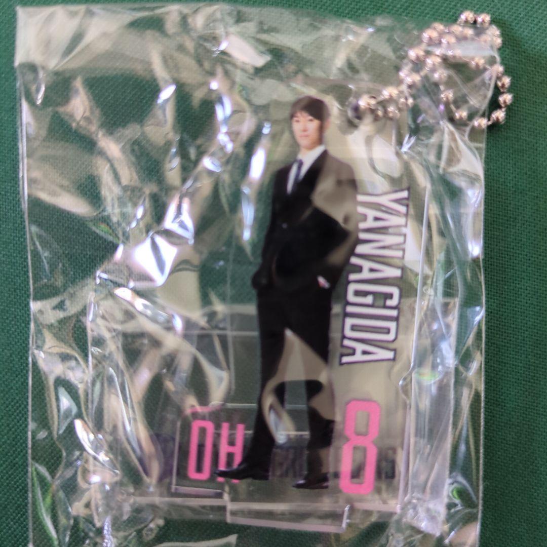 東京グレートベアーズ #8 柳田将洋選手　ランダムアクスタ&キーホルダー　2種類