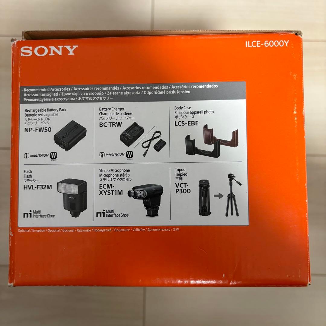 SONY α6000 ダブルズームレンズキット ILCE-6000Y ミラーレス