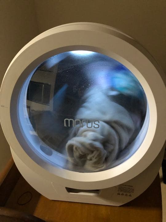 【美品】Morus Zero （モルスゼロ） 超小型衣類乾燥機