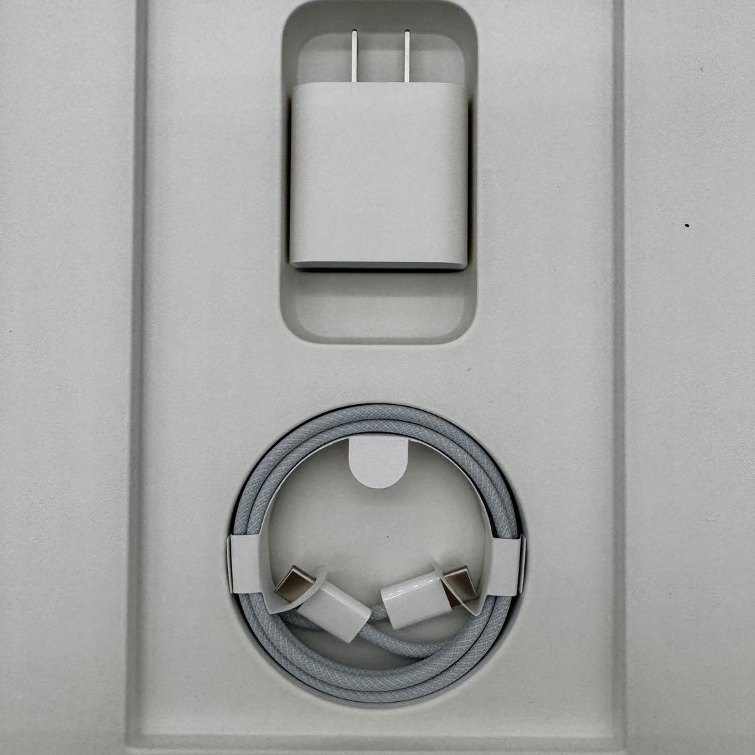 iPad Pro (第4世代) 11インチ 256GB MNXF3J/A