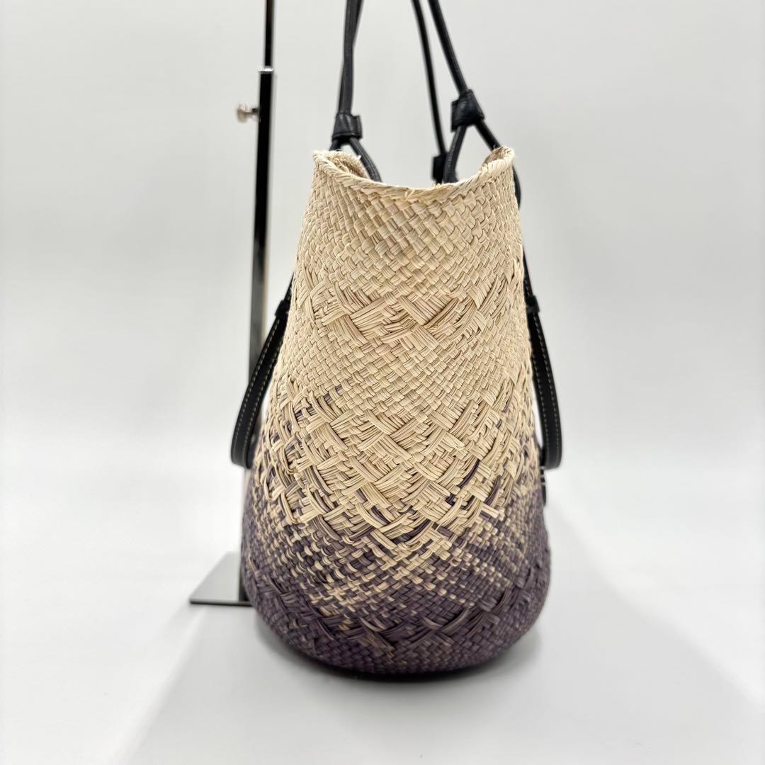 【極美品】 LOEWE ロエベ バスケットバッグ イラカヤシ カーフ 希少