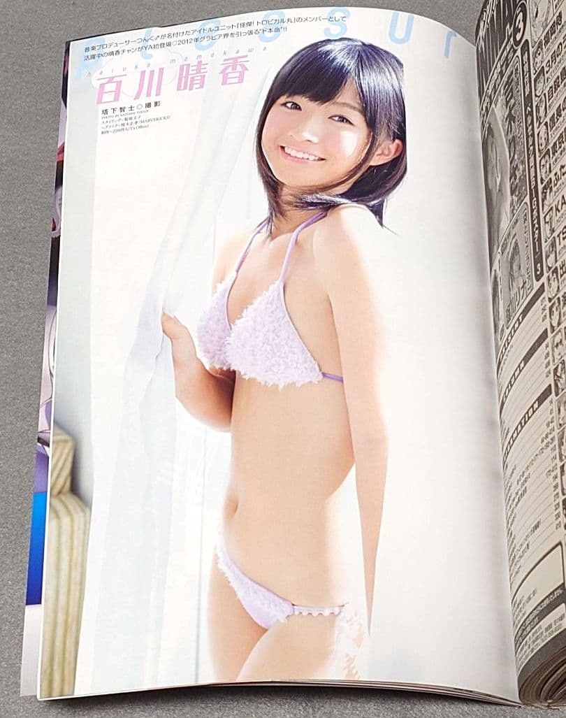 ヤングアニマル2012年3号ベルセルク表紙両面BIGポスター付録未開封三浦建太郎