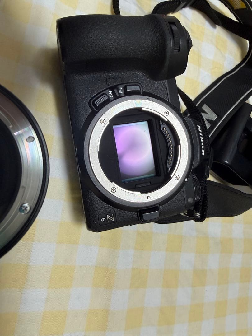 (ショット数6900)ニコンZ6 24-70mm f/4レンズキット おまけ付き