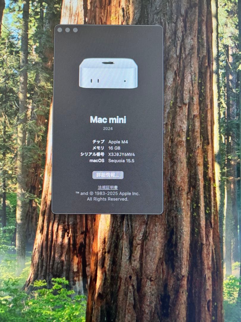 Apple M4チップ搭載Mac mini メモリ16GB SSD 512GB