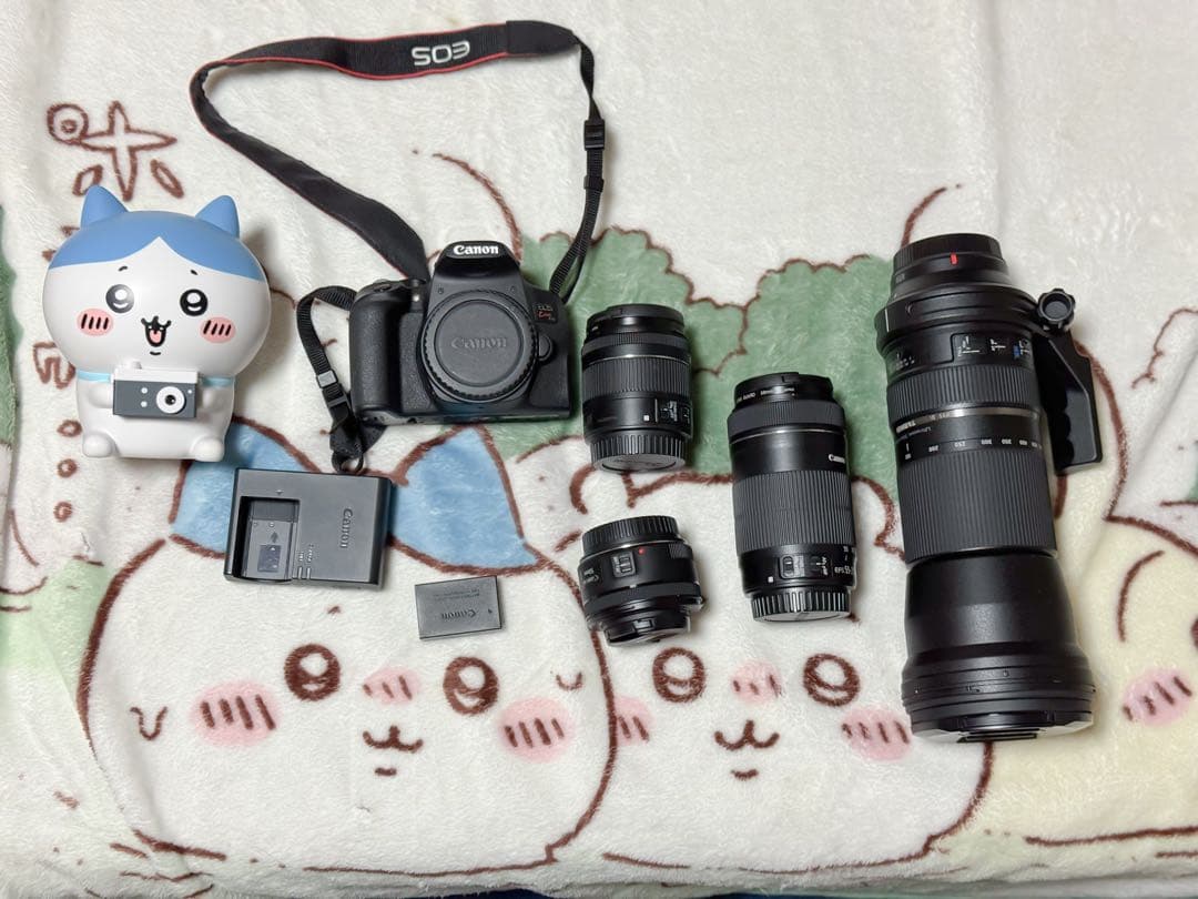 Canon kiss10iとレンズセット