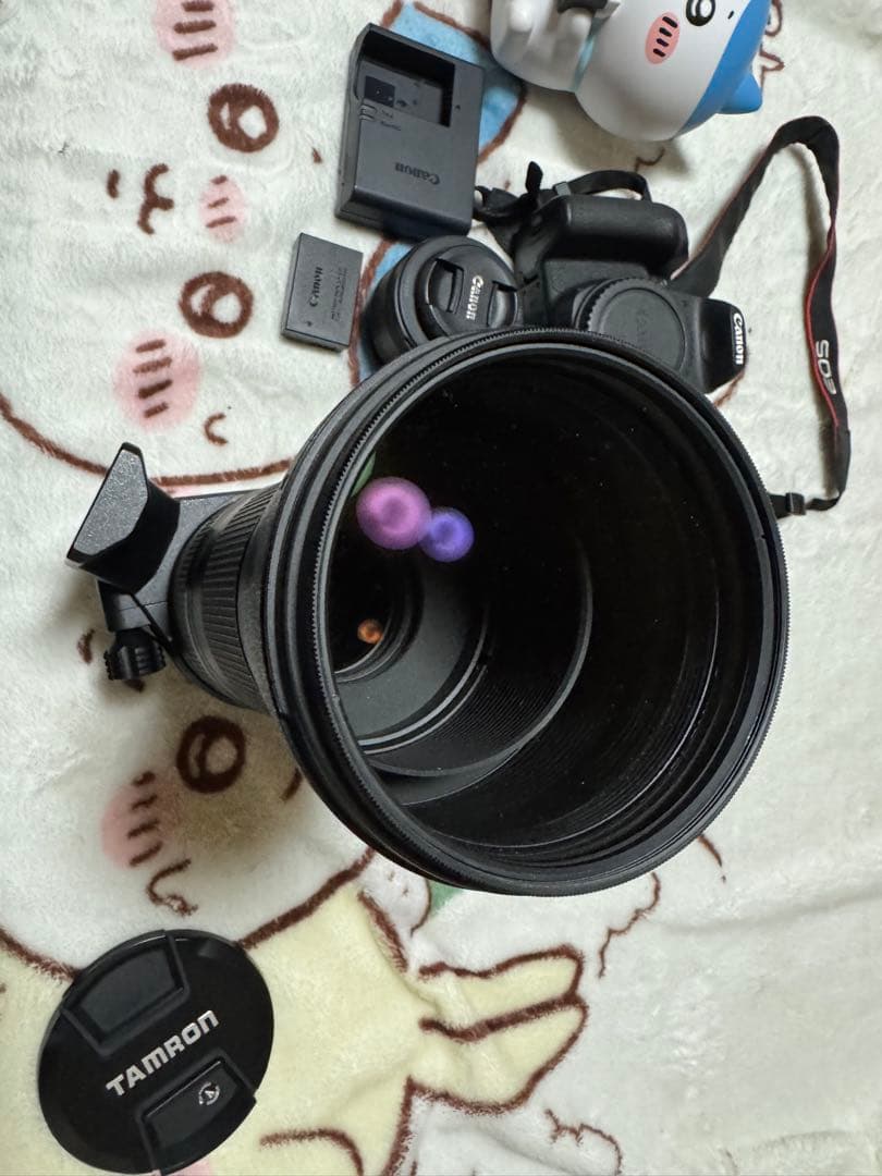 Canon kiss10iとレンズセット