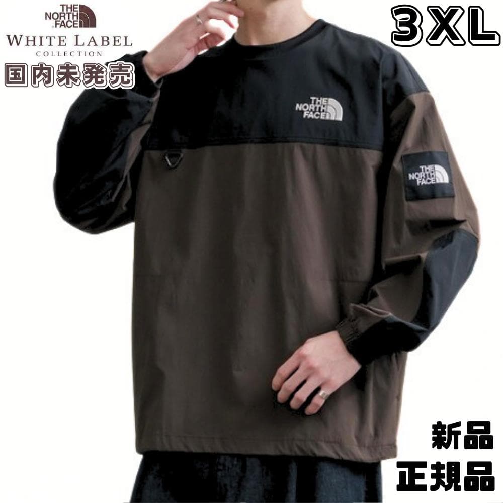 韓国　ノースフェイス XXXL　3XL アルバニー 長袖　Tシャツ　新品　4XL