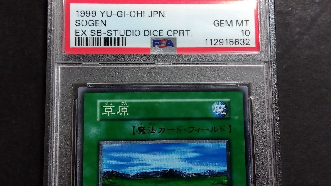 d*3様 【PSA10】「草原」初期 スタジオダイス版