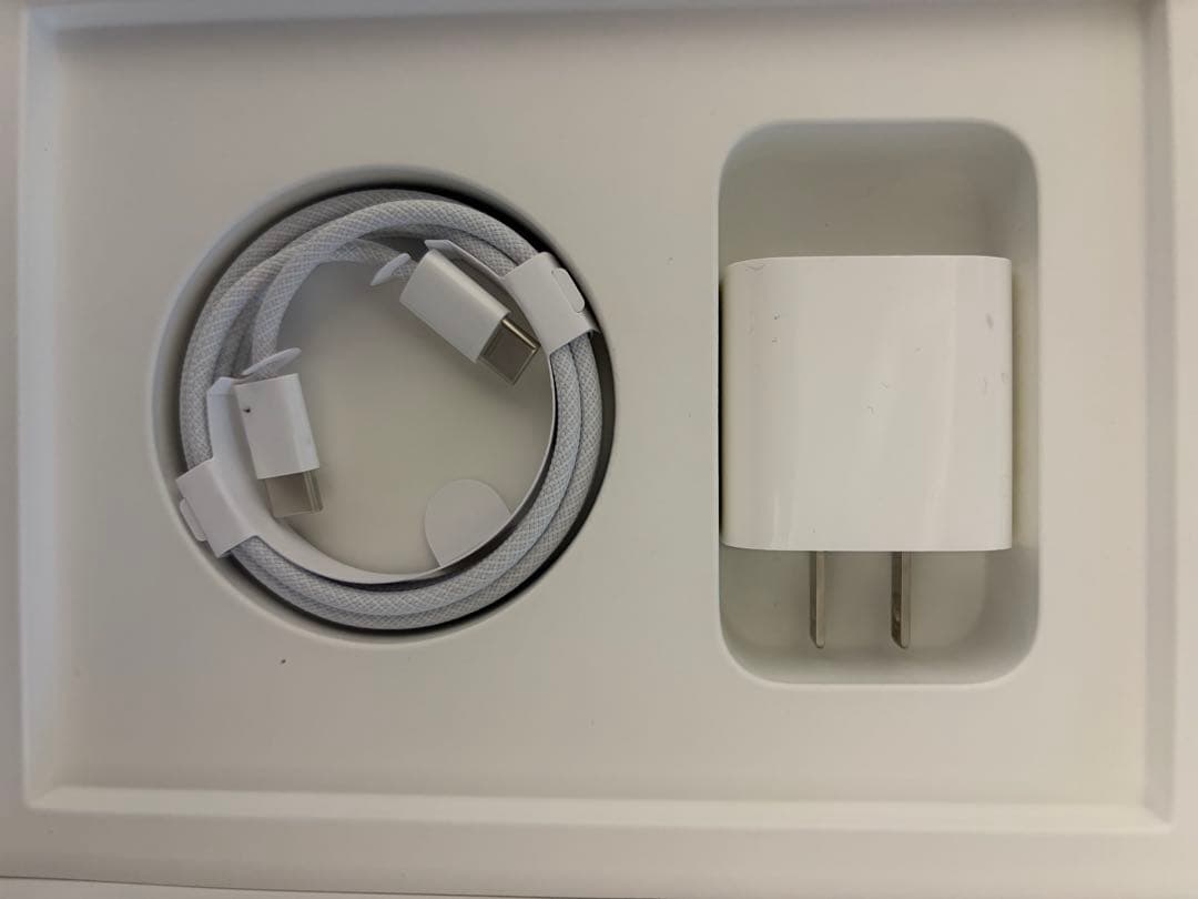 メ*ネ様 iPad mini (第6世代) スペースグレイ 256GB Wi-F