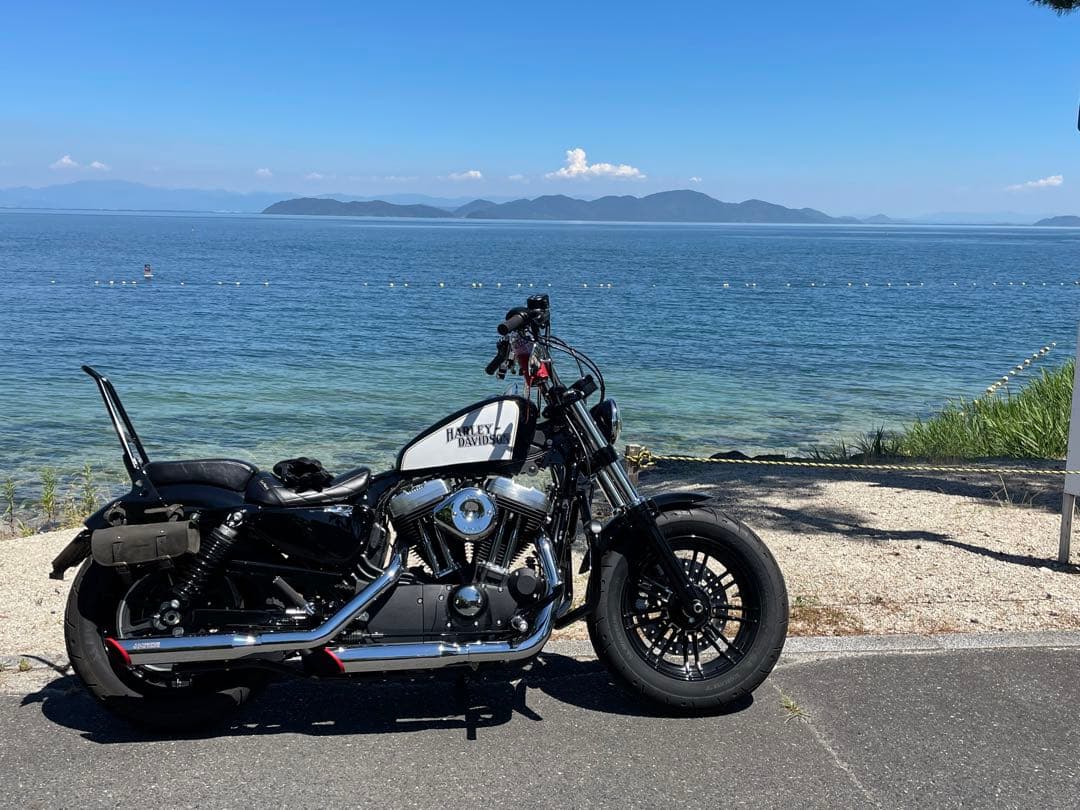 サイモンカスタム　タンクカバー　XL1200X 純正タンク（2.1がロン）用