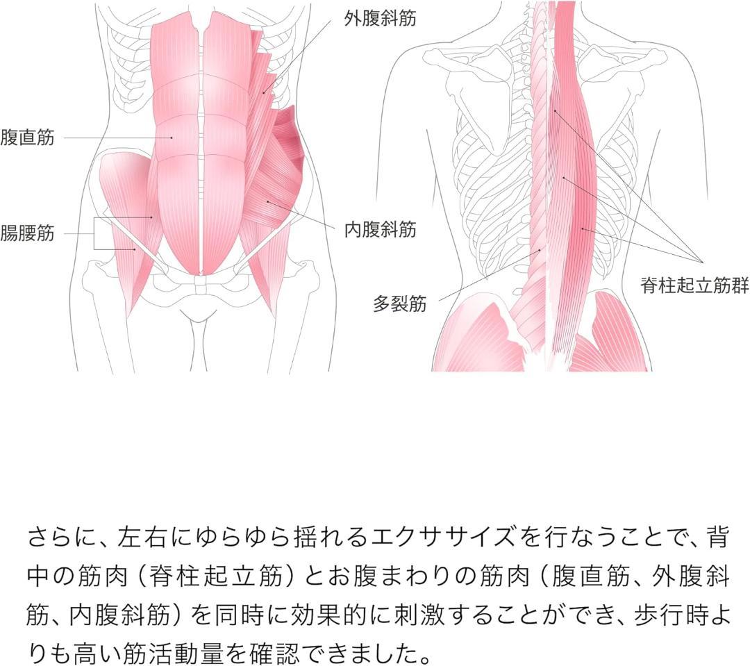【開封済み・未使用】アンドメディカル MALLOW　バランスボール　エクササイズ