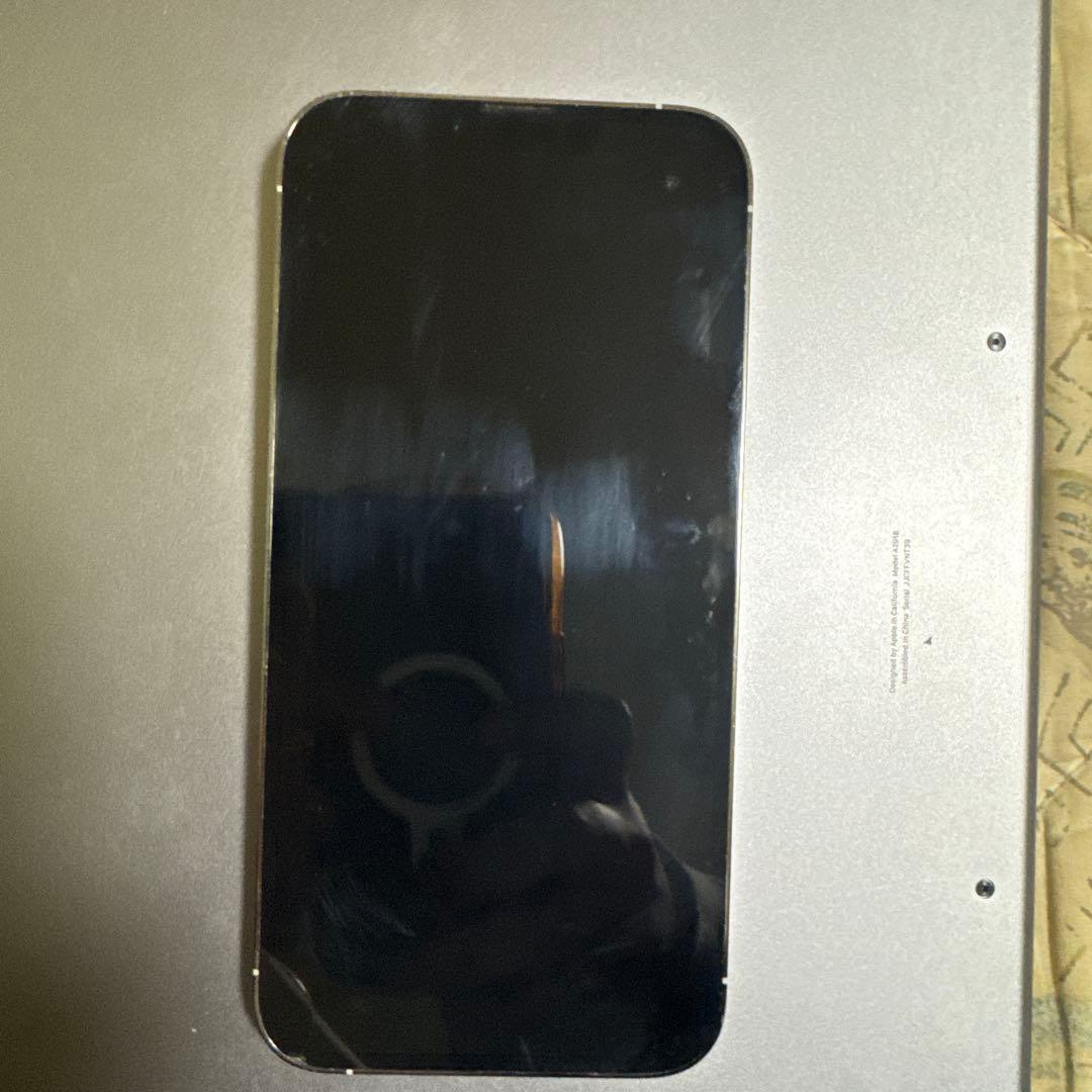 Apple iPhone 13 pro max シルバー