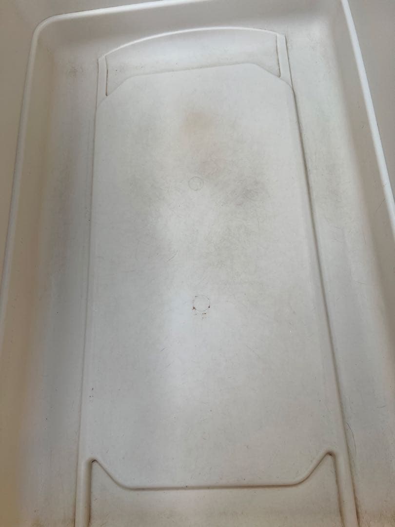 バリケンネルXL（２月３日まで）