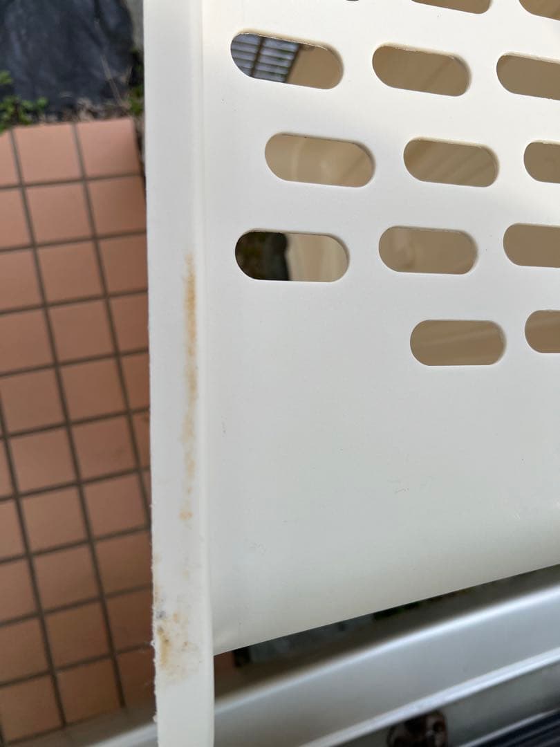 バリケンネルXL（２月３日まで）