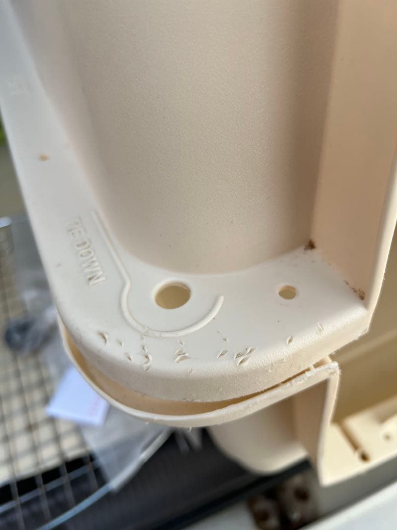 バリケンネルXL（２月３日まで）