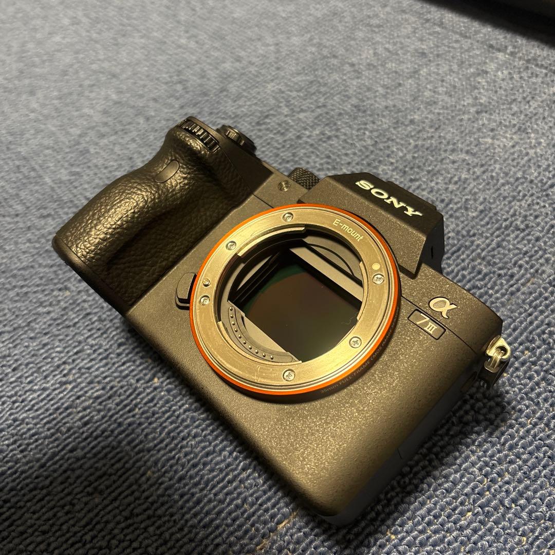 SONY α7III、SIGMA 24-70mm F2.8 DG DN おまけ付