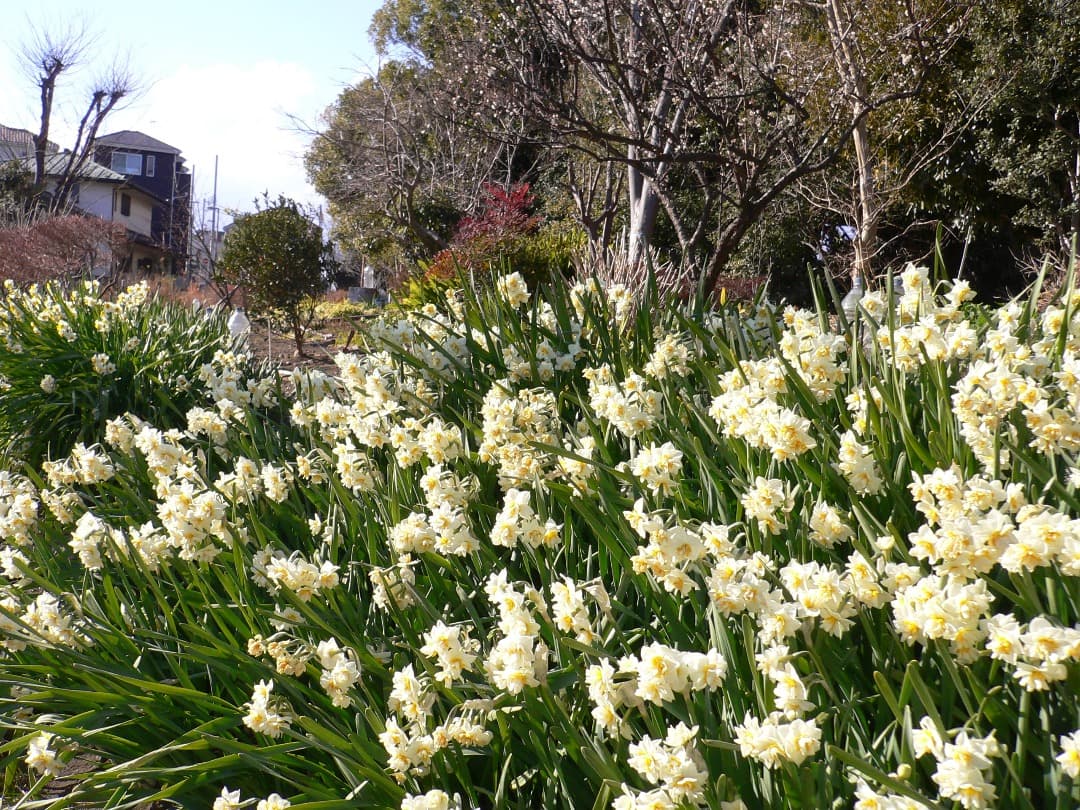 追加あり⭕️良品【動作確認済】パナソニック LUMIX DMC-FX7 シルバー