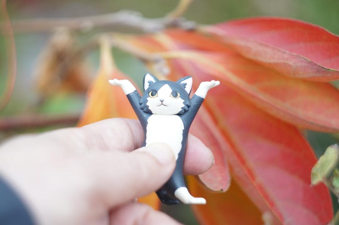 HELIOS-44-2 58mm f2 MMZ 綺麗　ぐるぐるボケ　ロシア製