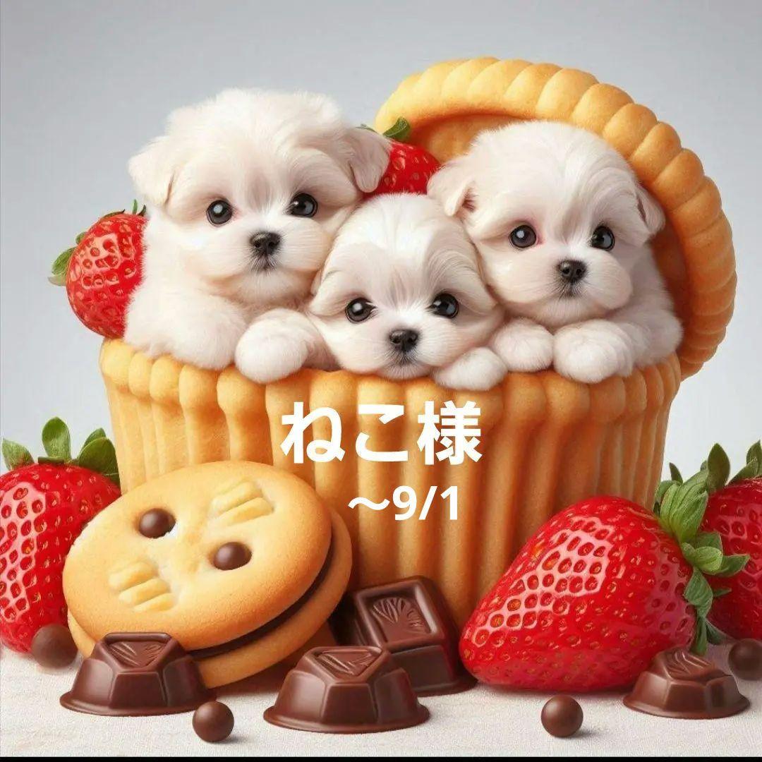 ねこ◎トラブル防止の為プロフ必読専用⑤