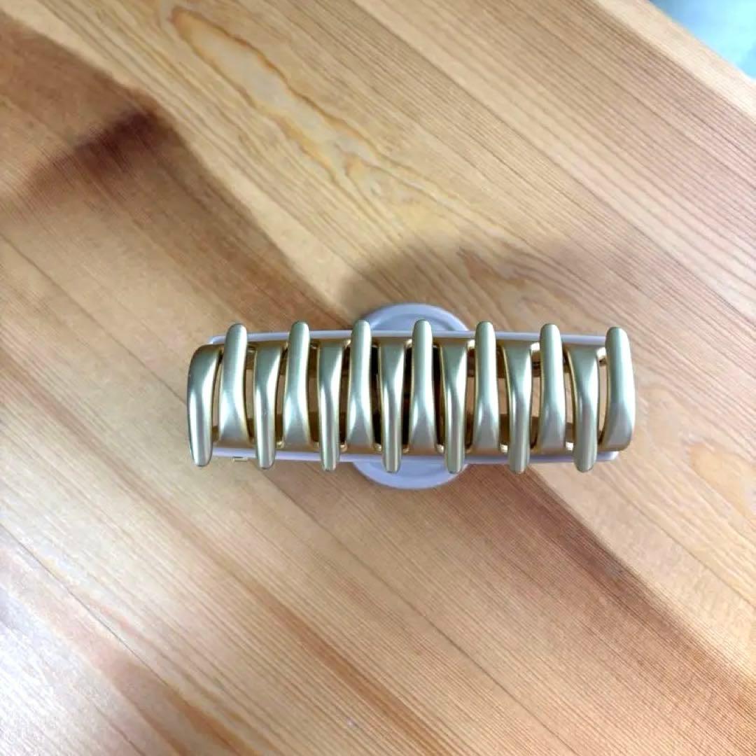 ALEXANDRE DE PARISヘアクリップピンクベージュ