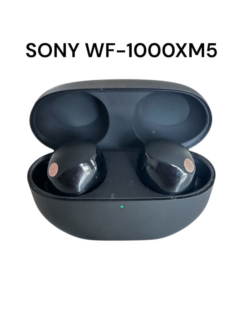 SONY WF-1000XM5 ソニー ワイヤレスイヤホン