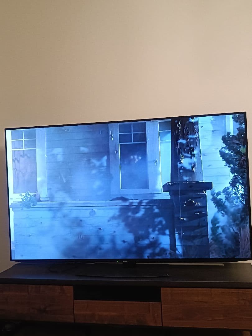 SHARP 65インチ 有機ELテレビ 4T-C65ES5