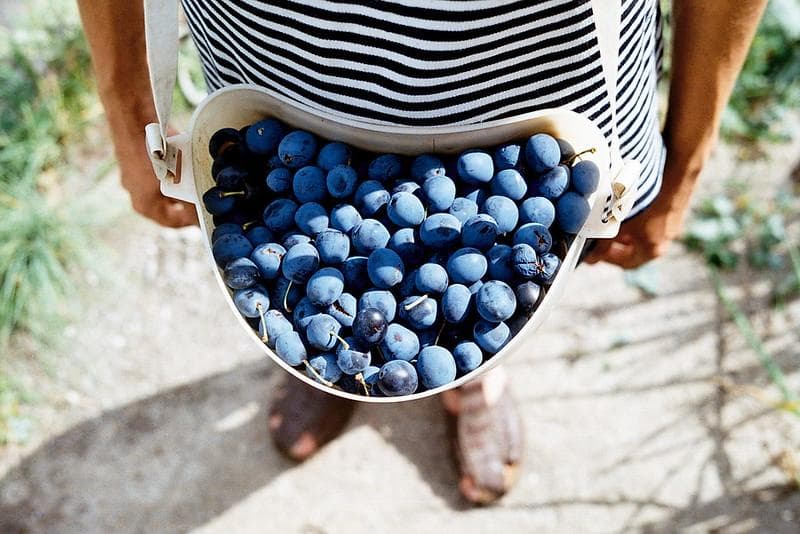 oki41　Industar61 L/Z MC 　 90ジュピター