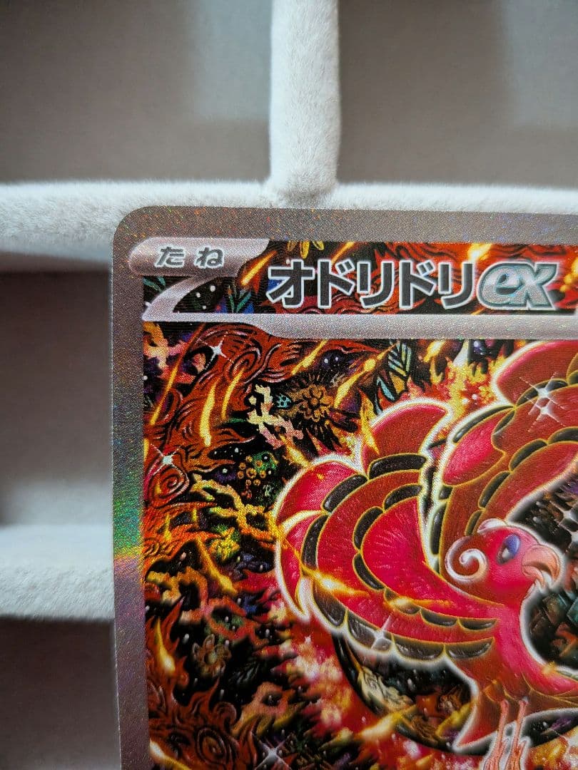 インフェルノX　オドリドリex　SAR