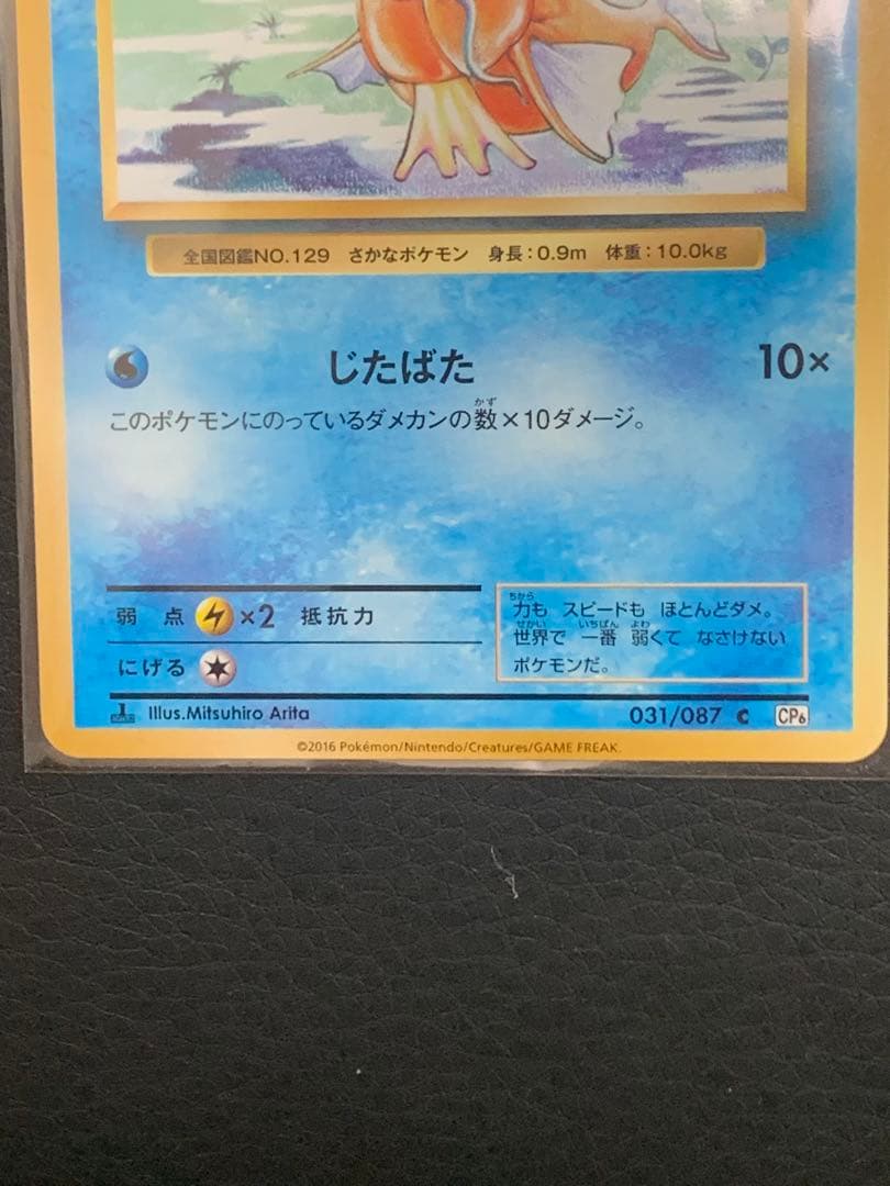 コイキング CP6 XY