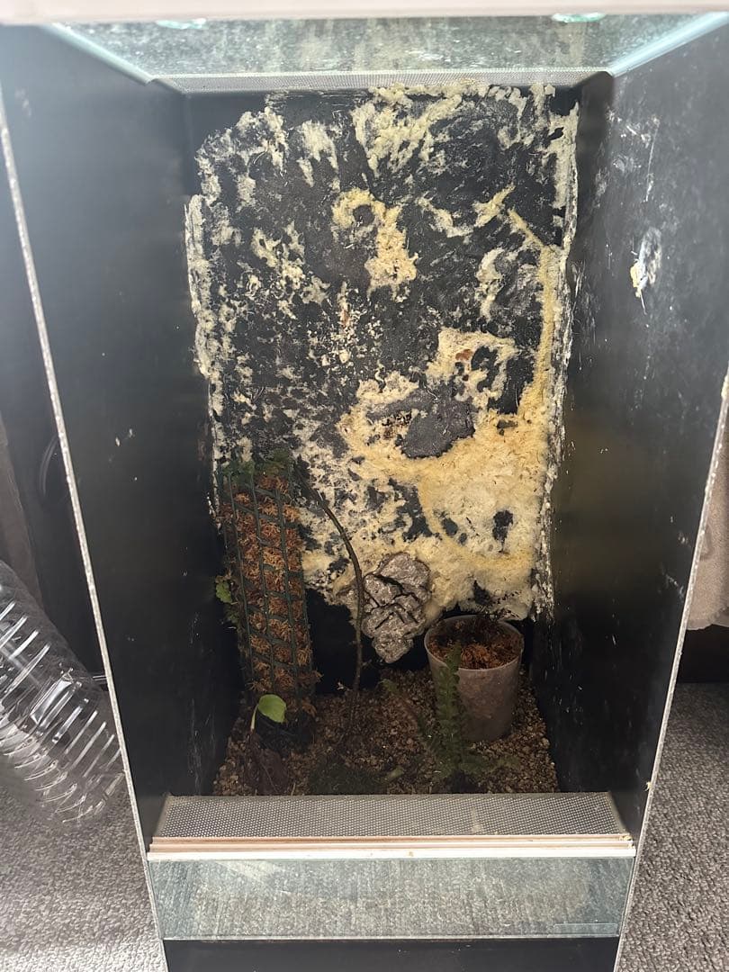 パルダリウムケージ　爬虫類ケージ　ビバリウム　テラリウム