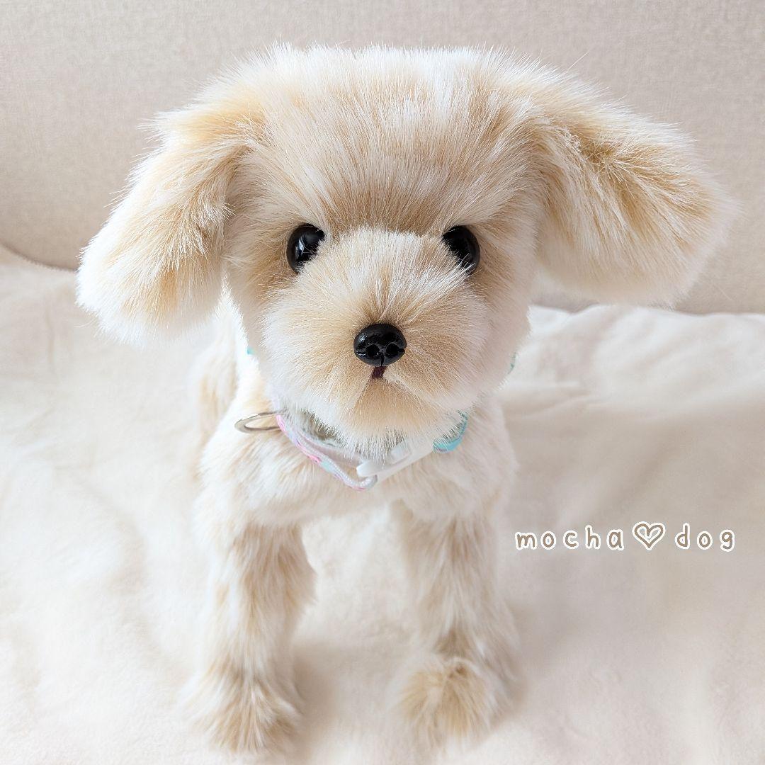 ＊mocha♡dog＊ mixdog(M)☆ぬいぐるみわんこ 犬　 ハンドメイド