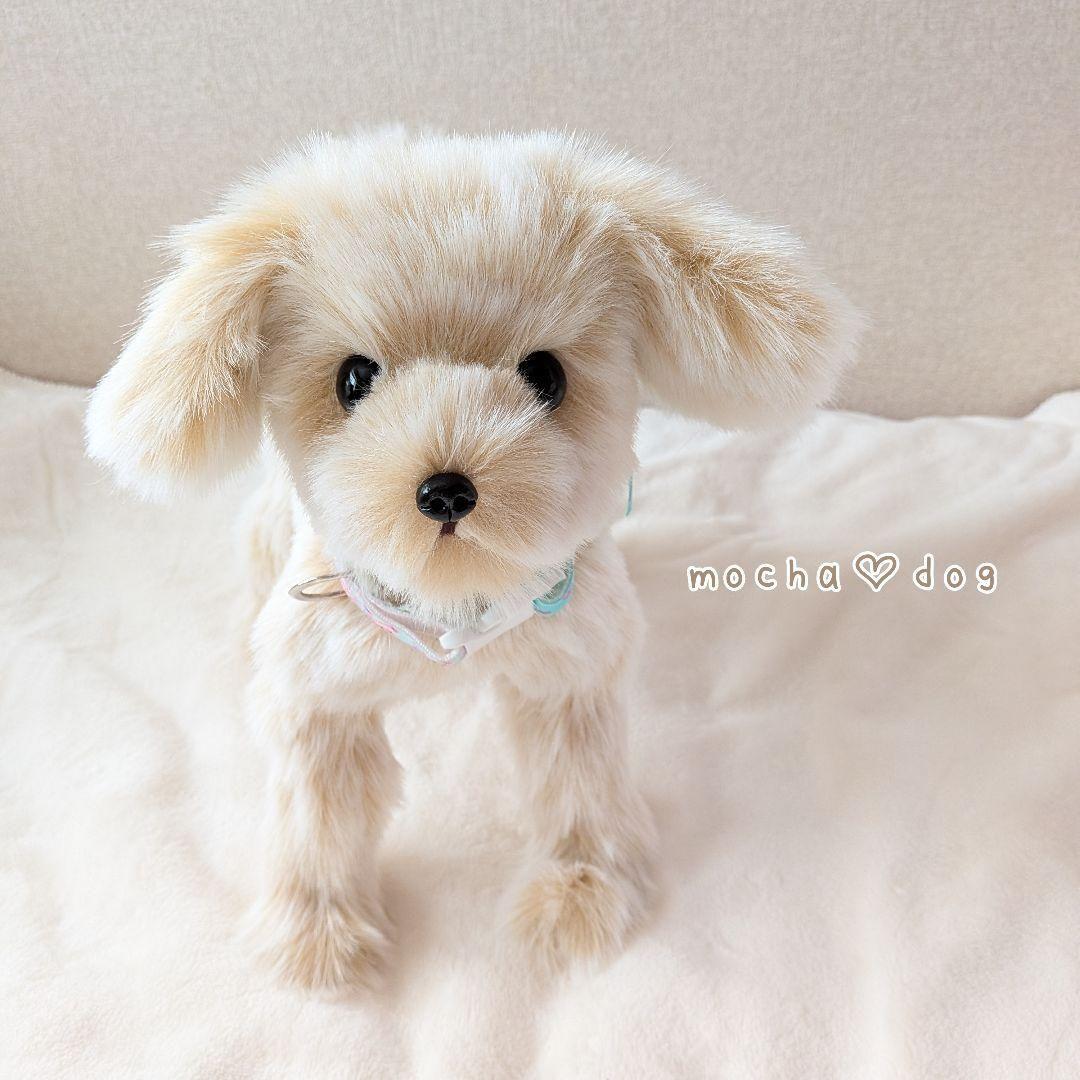 ＊mocha♡dog＊ mixdog(M)☆ぬいぐるみわんこ 犬　 ハンドメイド
