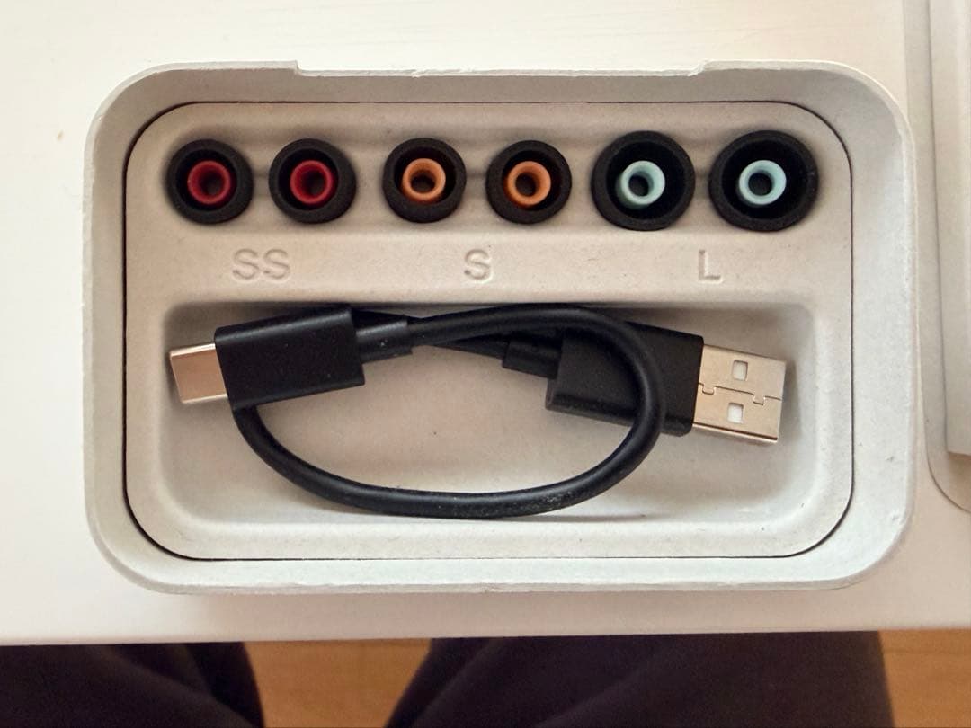 イヤホン WF-1000XM5