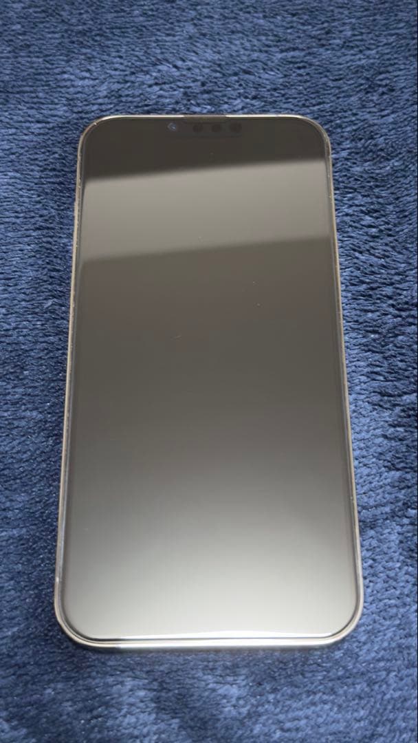 Apple iPhone 13 Pro Max グラファイト 128GB 99%