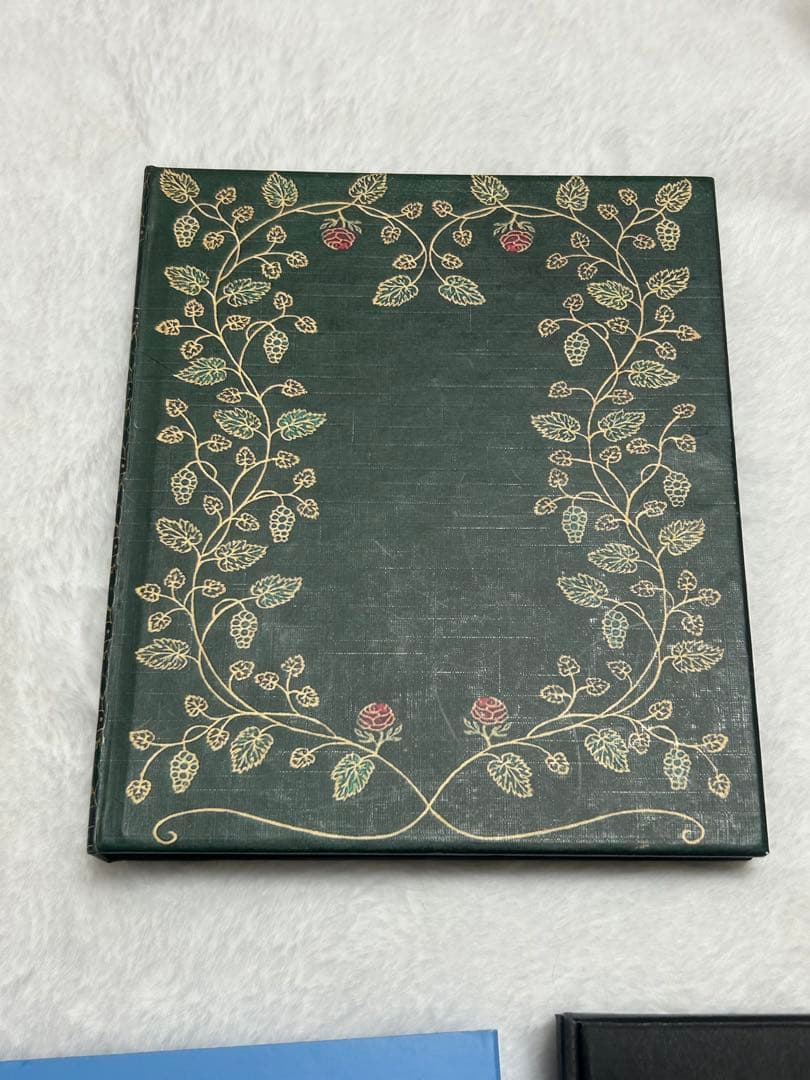 Kindle Oasis 第9世代　バッテリー内蔵　本体 ケース付き