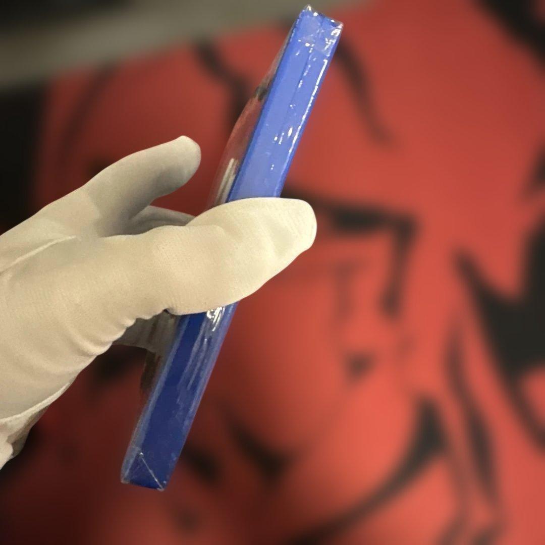 【新品未開封】2本セット ポケットモンスター オメガルビー アルファサファイア