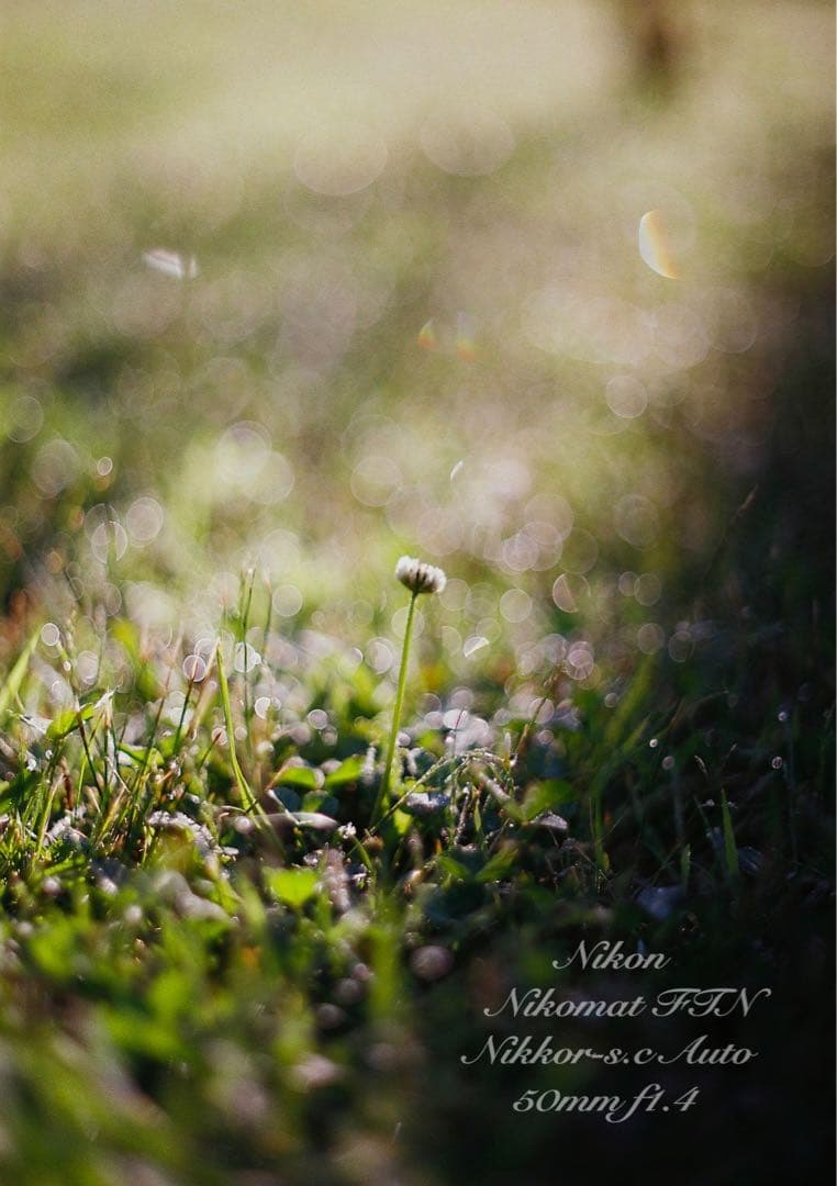 ニコン FTN &ニッコール f1.4★完動品！動作確認済＊返品保証付＊作例多数