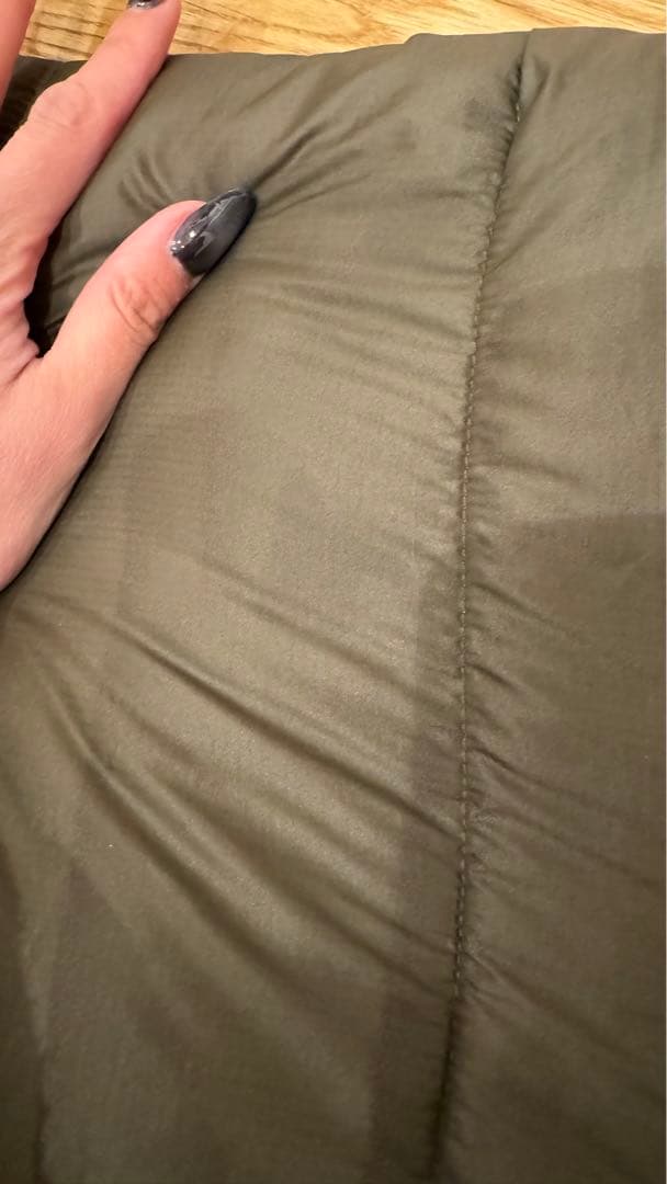 ザノースフェイスTHE NORTH FACEエコダウン