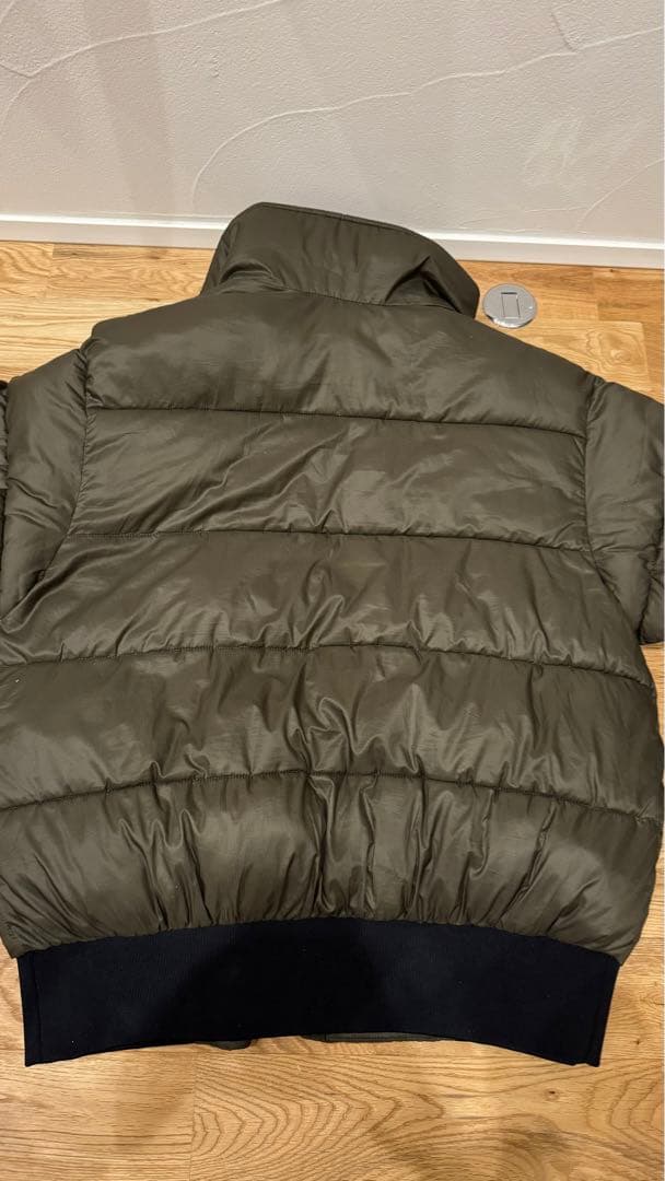 ザノースフェイスTHE NORTH FACEエコダウン