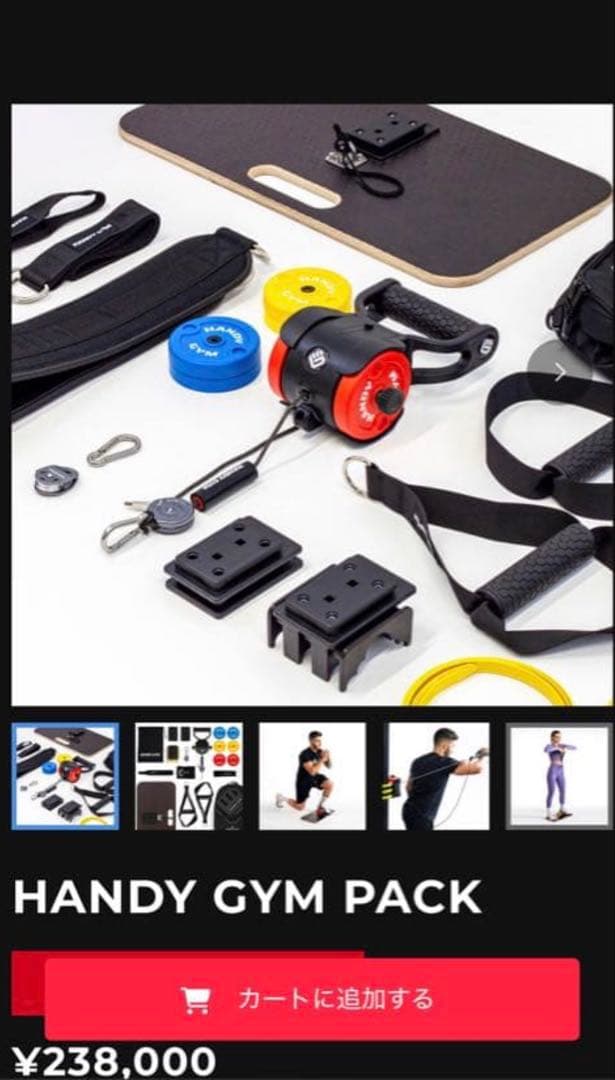 【定価23万】HANDY GYM PROハンディジム 慣性トレーニング