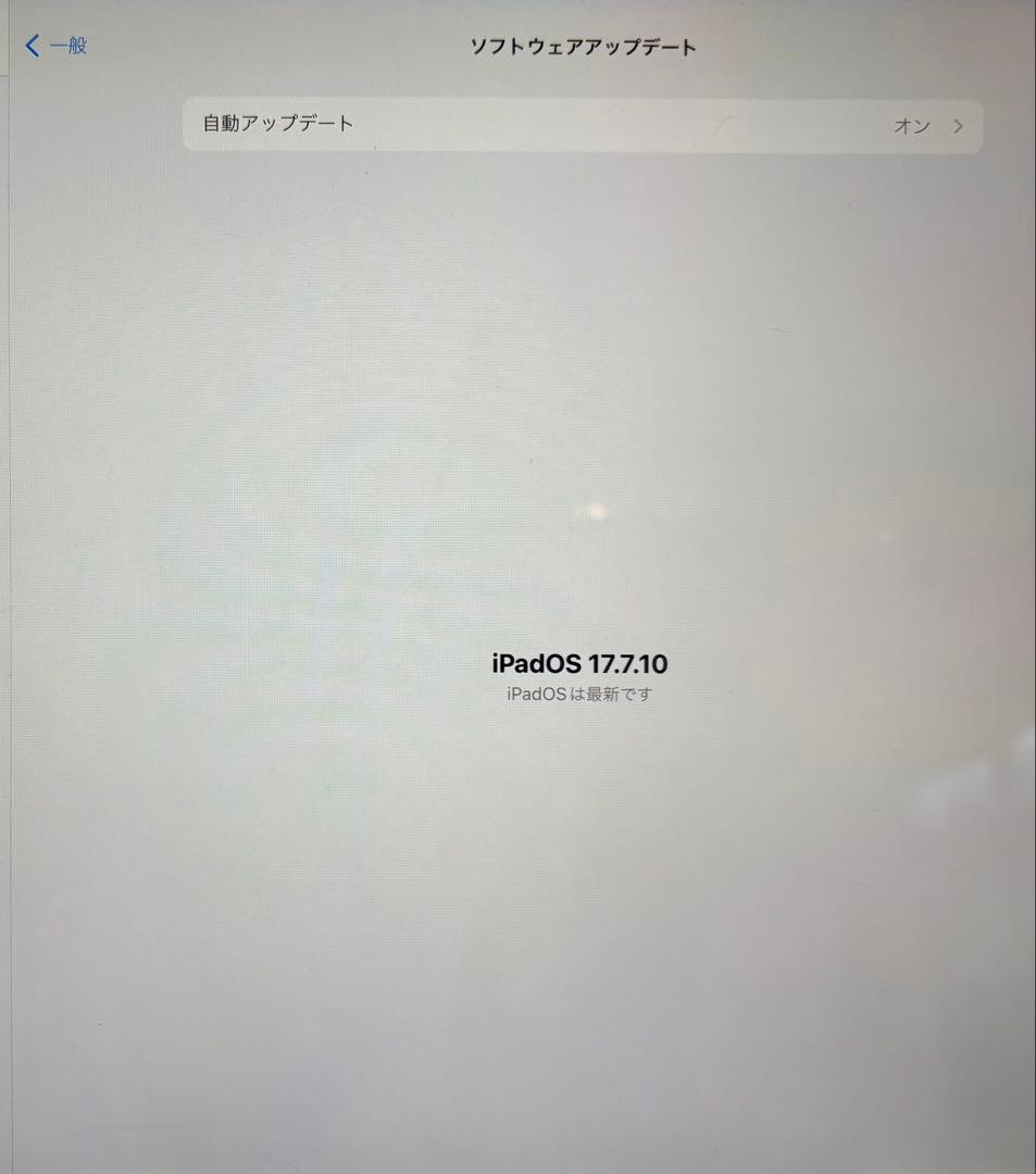 iPad Pro (第二世代) 256GB Wi-Fi + Cellular