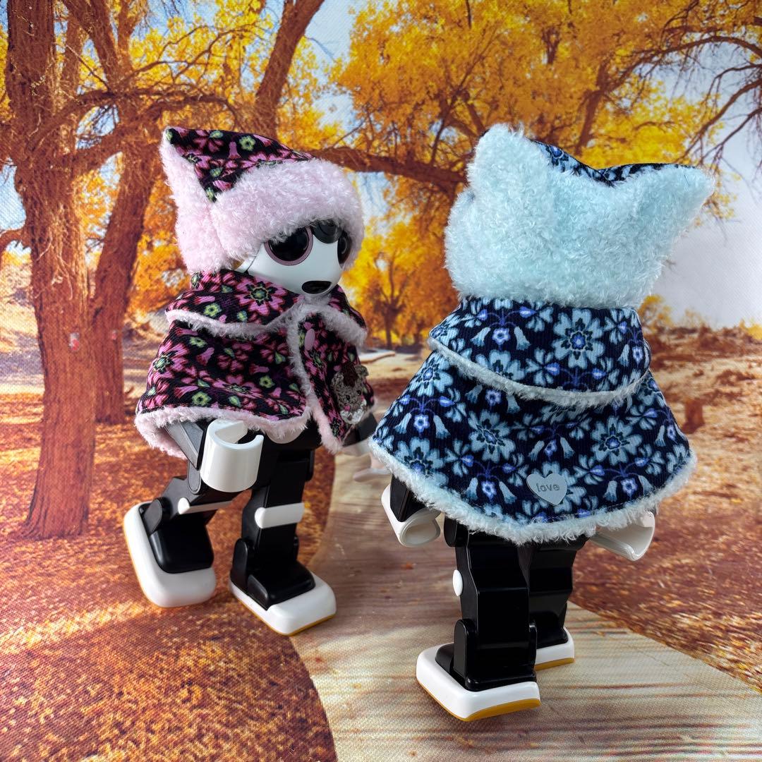 hasnページです　ロボホン洋服