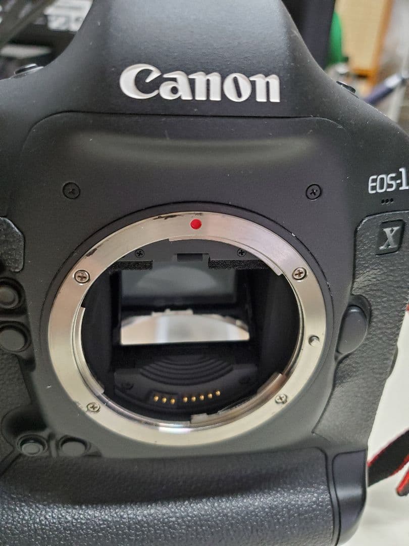 Canon EOS-1D X 本体　取説 充電器付　50000ショット未満です。
