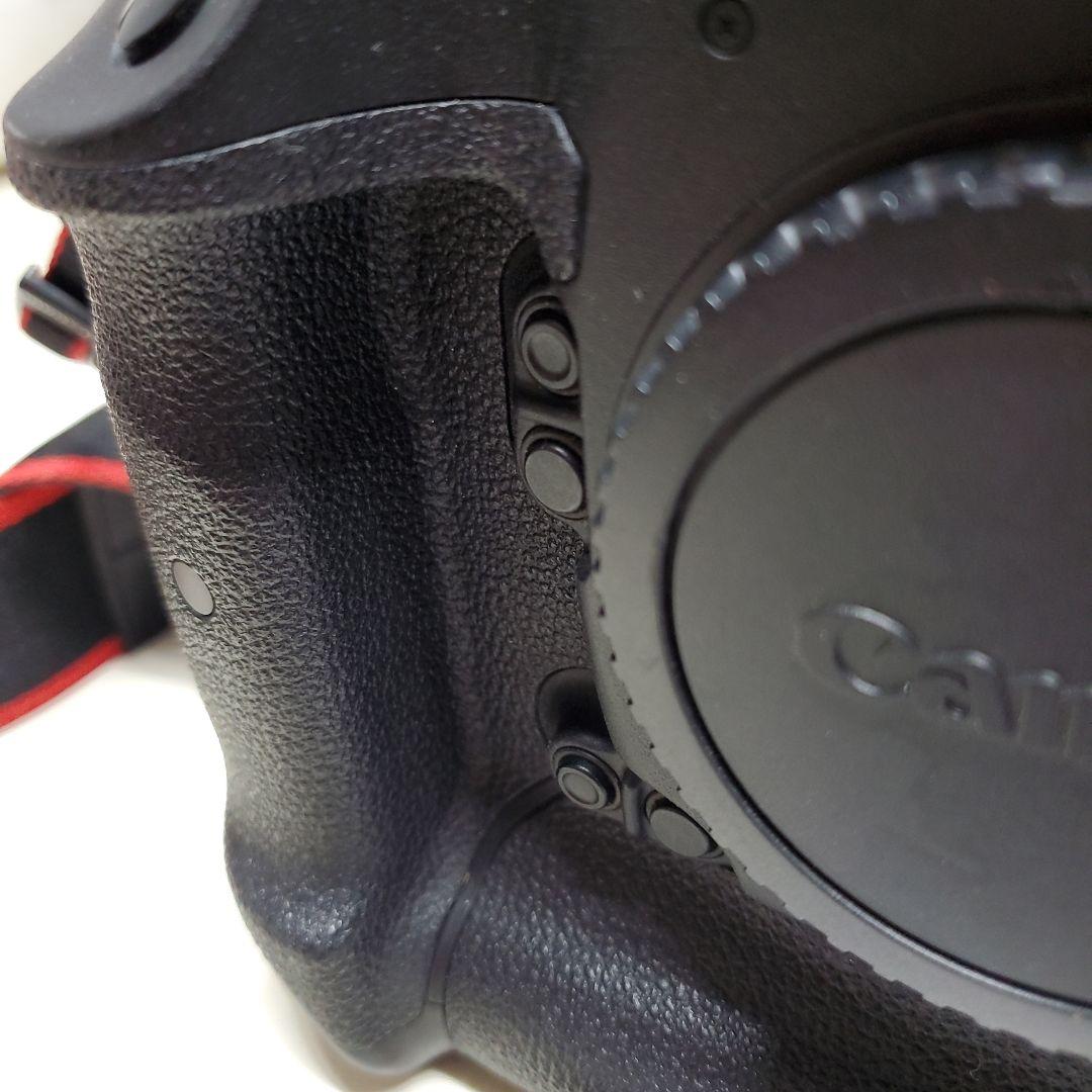 Canon EOS-1D X 本体　取説 充電器付　50000ショット未満です。