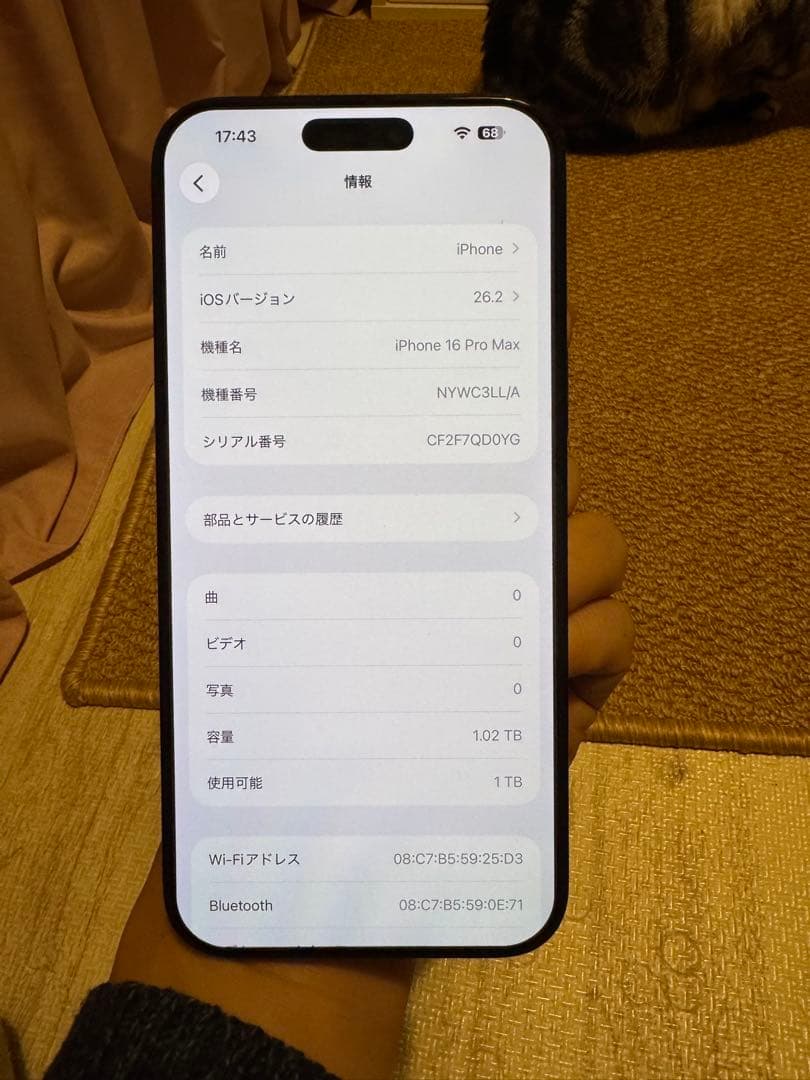 海外版iPhone 16 Pro Max 1TB,極美品, 充電回数は2回