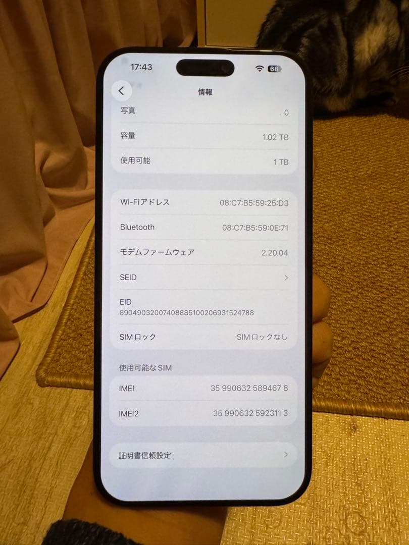 海外版iPhone 16 Pro Max 1TB,極美品, 充電回数は2回