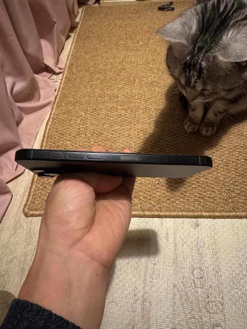 海外版iPhone 16 Pro Max 1TB,極美品, 充電回数は2回