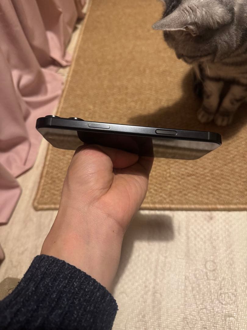 海外版iPhone 16 Pro Max 1TB,極美品, 充電回数は2回